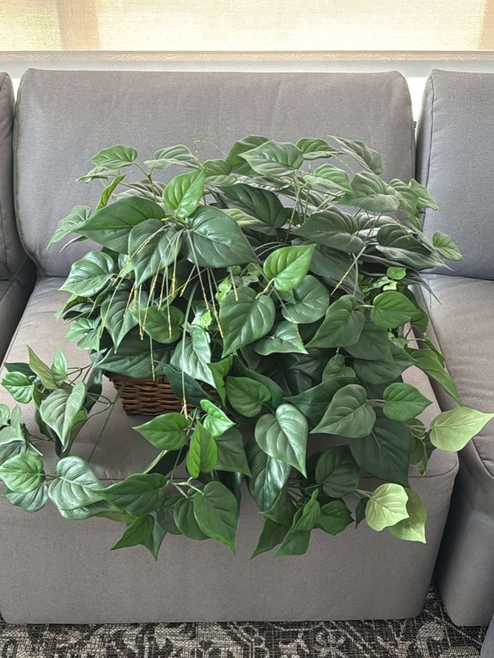 Artificial Green Leaf Philodendron Basket.